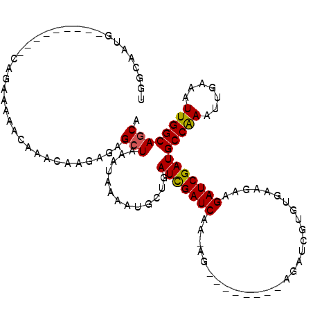 secondary structure