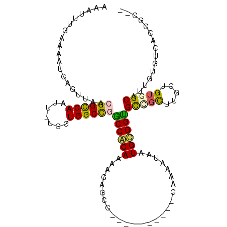 secondary structure