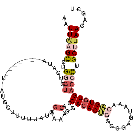 secondary structure