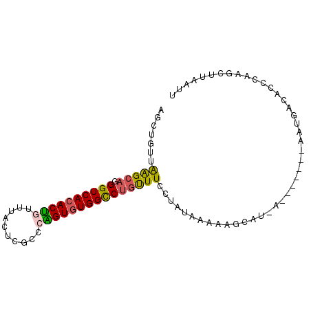 secondary structure