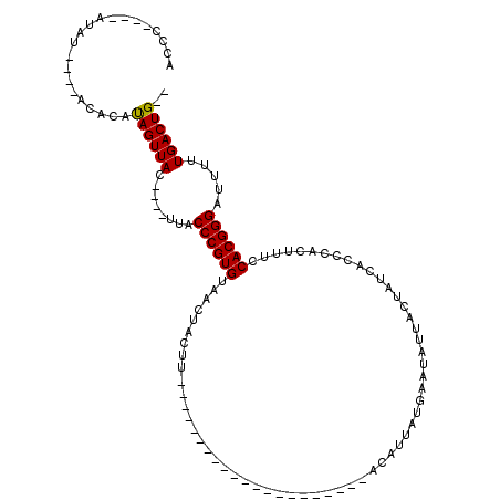 secondary structure