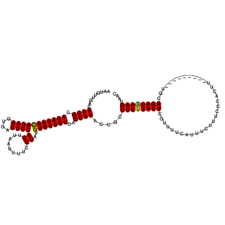 secondary structure