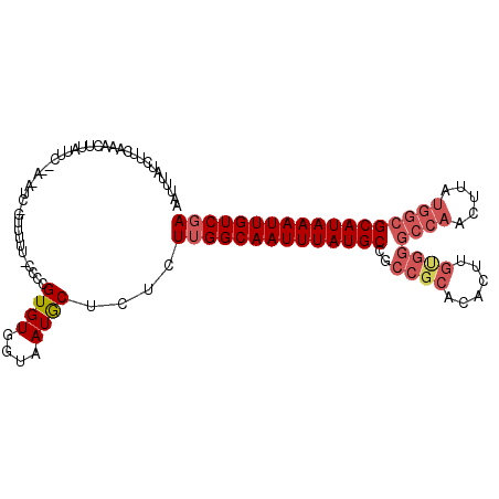 secondary structure