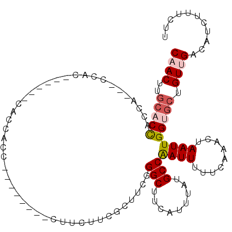 secondary structure