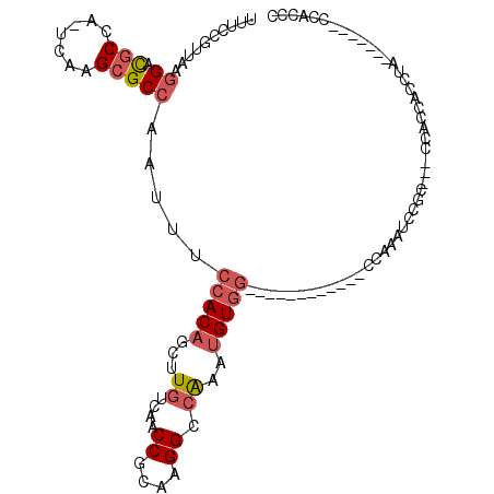 secondary structure