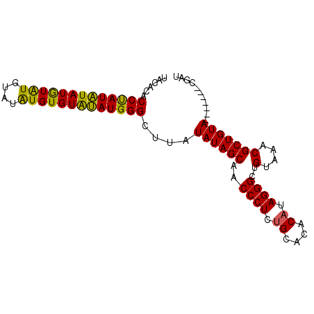 secondary structure