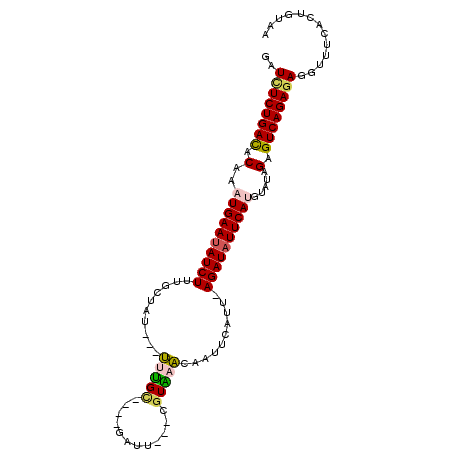 secondary structure
