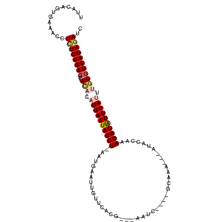 secondary structure