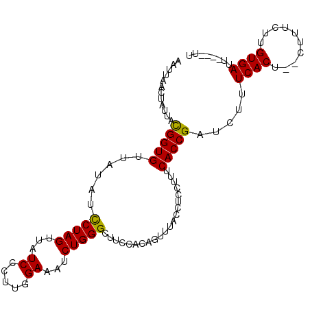 secondary structure