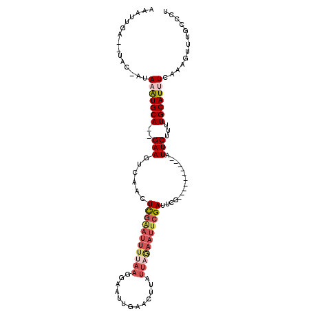 secondary structure