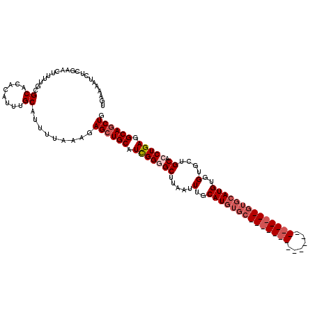 secondary structure
