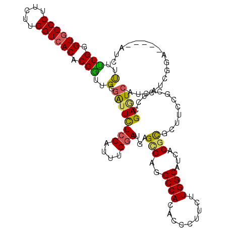 secondary structure