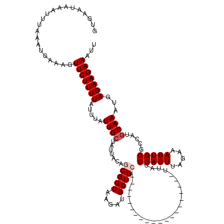 secondary structure