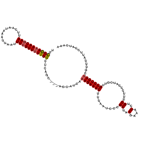 secondary structure