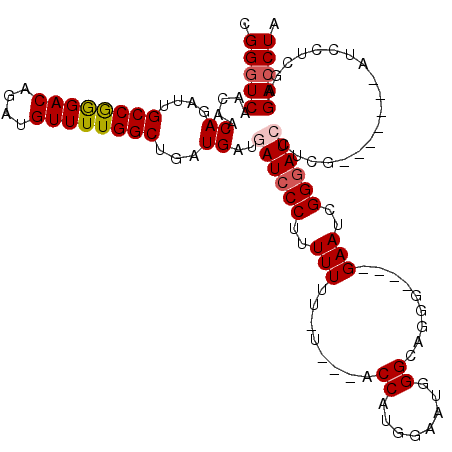 secondary structure