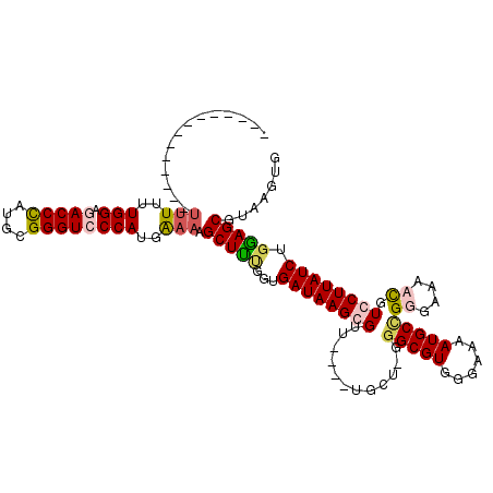 secondary structure