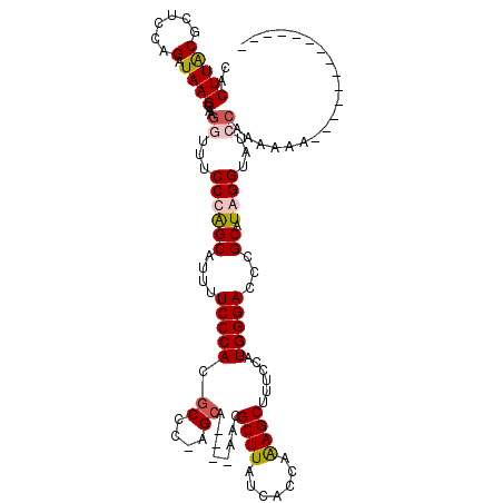 secondary structure