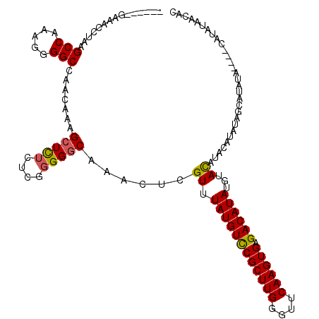 secondary structure