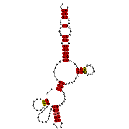 secondary structure