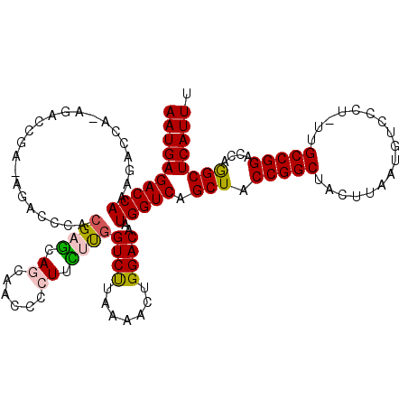 secondary structure