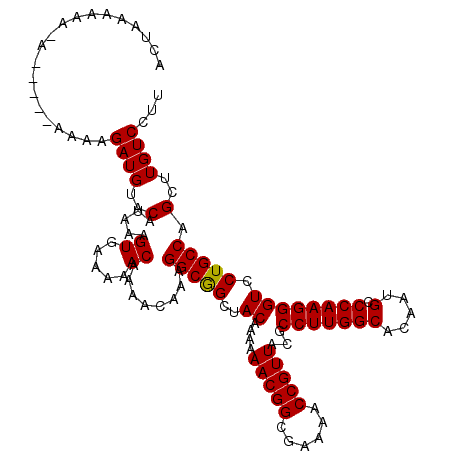 secondary structure