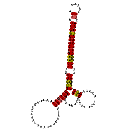 secondary structure