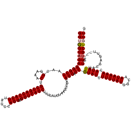 secondary structure
