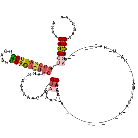 secondary structure