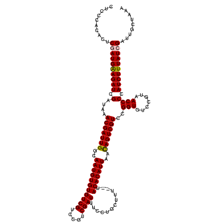 secondary structure