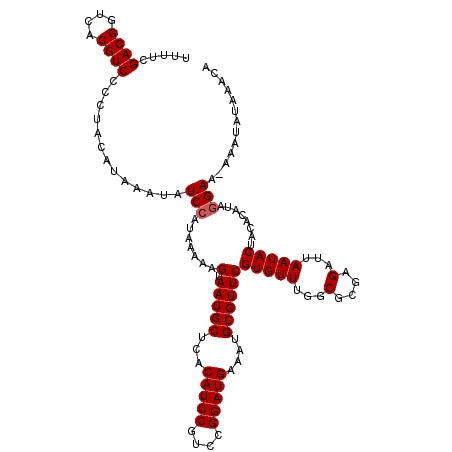 secondary structure