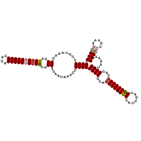 secondary structure