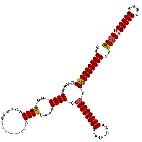 secondary structure