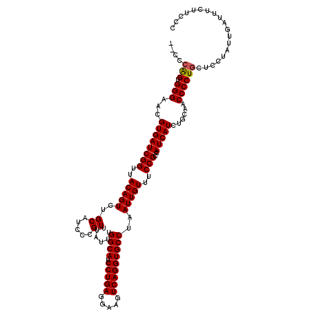 secondary structure
