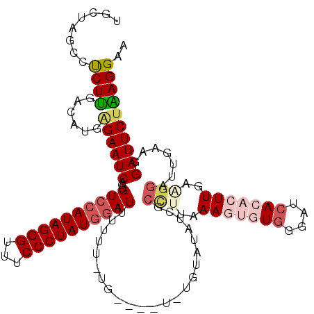 secondary structure