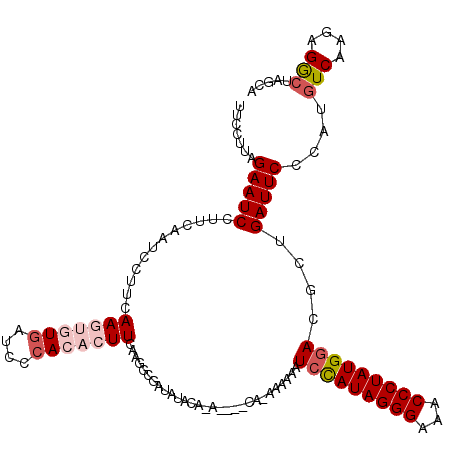 secondary structure