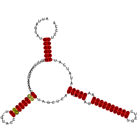 secondary structure