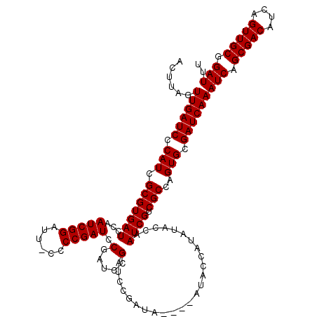 secondary structure