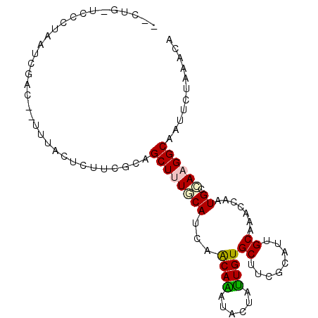 secondary structure