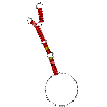 secondary structure