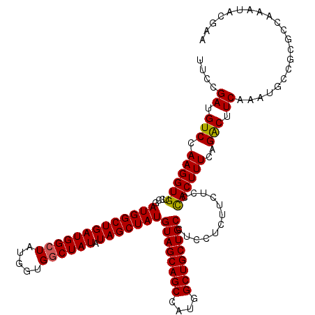 secondary structure
