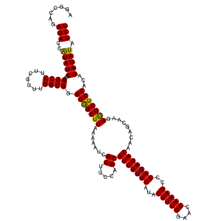 secondary structure