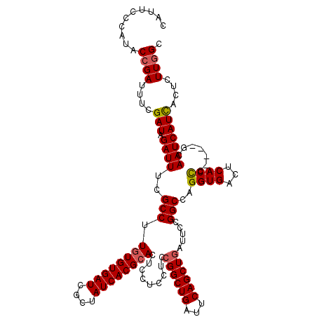 secondary structure