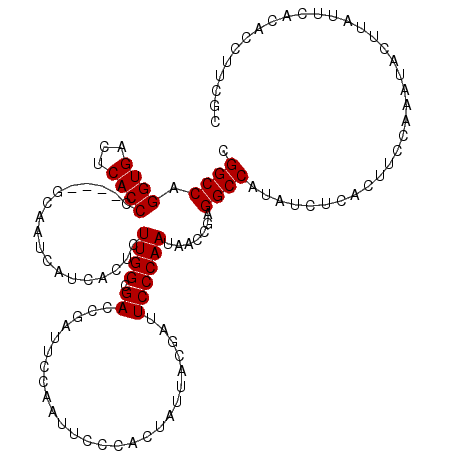 secondary structure