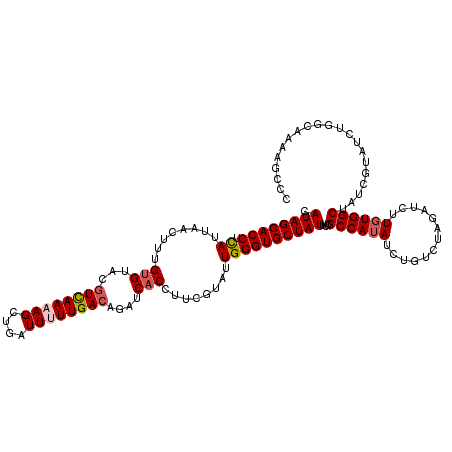 secondary structure