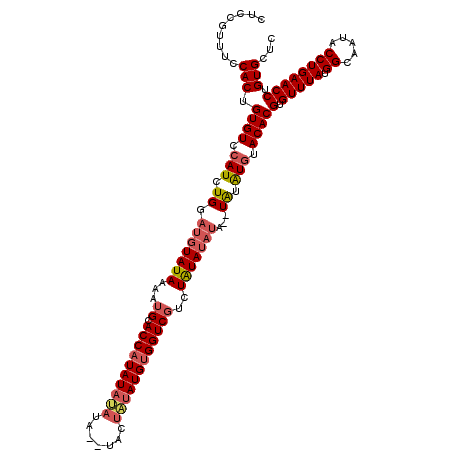 secondary structure