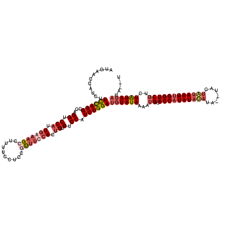 secondary structure