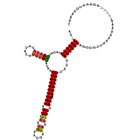 secondary structure