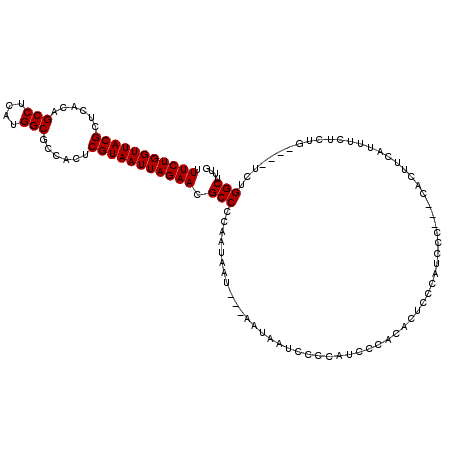 secondary structure