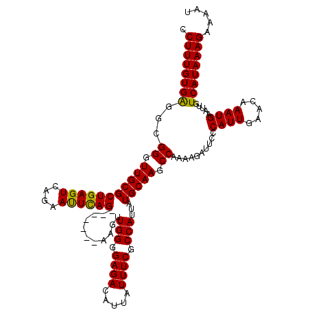 secondary structure