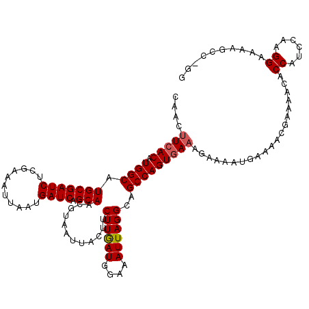 secondary structure